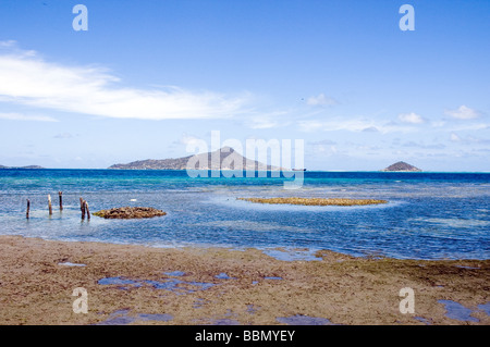 Luv, Carriacou, Grenadinen Stockfoto