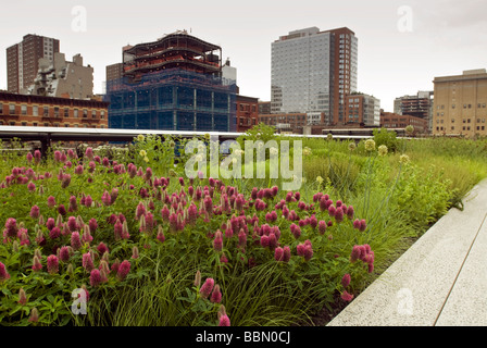 Der neue High Line Park im New Yorker Stadtteil Chelsea wird auf Montag, 8. Juni 2009 gesehen. Stockfoto