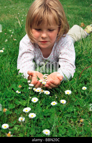 Mädchen, 5 Jahre, liegend auf einer Wiese mit Gänseblümchen (Bellis Perennis) und Blumen in ihren Händen hält Stockfoto