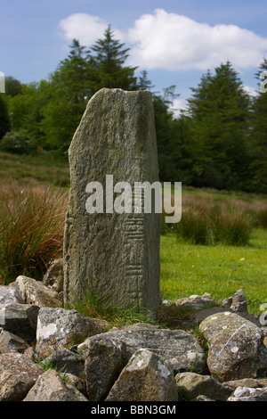 Aghascrebagh Ogham Stein Grafschaft Tyrone Nordirland Großbritannien dies ist das einzige Beispiel eines Ogham-Stein in der Grafschaft Tyrone Stockfoto