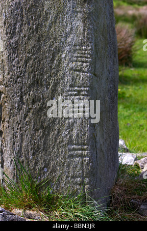 Nahaufnahme von den geschnitzten Schriften über Aghascrebagh Ogham Stein Grafschaft Tyrone Nordirland Vereinigtes Königreich Stockfoto