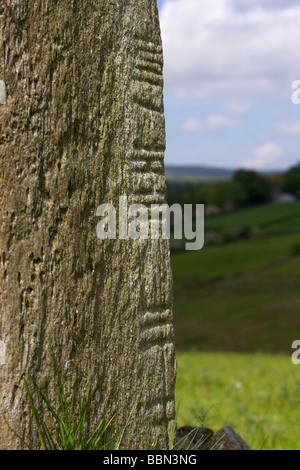 Nahaufnahme von den geschnitzten Schriften über Aghascrebagh Ogham Stein Grafschaft Tyrone Nordirland Vereinigtes Königreich Stockfoto