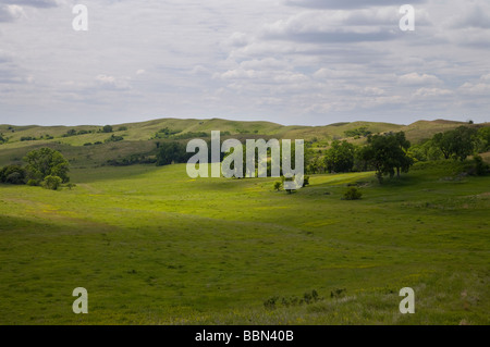 Loess Hügel, gebrochen Wasserkocher Grasland (ein Preserve The Nature Conservancy), Plymouth County, Iowa Stockfoto