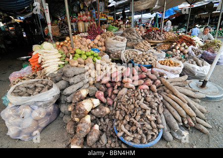 Marktstand mit verschiedenen Arten von Wurzel-Gemüse und Zwiebeln, Vinh Long, Mekong-Delta, Vietnam, Asien Stockfoto