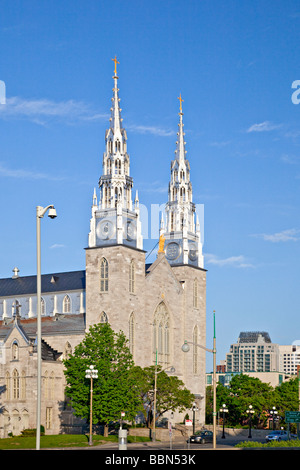Notre-Dame Kathedrale Basilica, Ottawa, Kanada Stockfoto