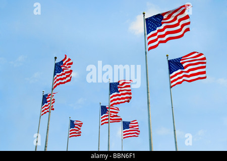 Amerikanische Flaggen im wind Stockfoto