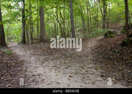 Gabel in Wanderweg, Palisaden-Kepler State Park in der Nähe von Mt Vernon, Iowa, USA Stockfoto
