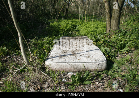 Bett von obdachlosen Menschen in Wäldern in Landschaft Stockfoto