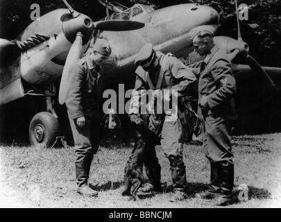 Ereignisse, Zweiter Weltkrieg/zweiter Weltkrieg, Luftkrieg, Personen, Pilot eines deutschen Schwerkämpfers Messerschmitt Bf 110 vor einer Mission, Abschied von seinem Maskottchen, ca. 1940, Stockfoto