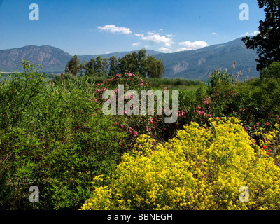 VEW vom Berg mit Blick auf Iztuzu-See und das Flussdelta in Dalyan, Türkei Stockfoto