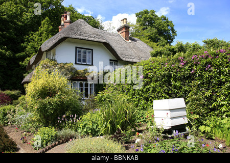 Eine weiß lackierte Thatched Dach Cottage und Bienenstock am Schwan grün Lyndhurst in Hampshire, England Stockfoto
