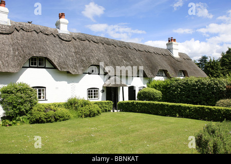 Reihe von weißen gemalten Thatched Dach Cottages im Swan grün Lyndhurst in Hampshire, England Stockfoto