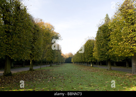 Geographie/Reisen, Deutschland, Nordrhein-Westfalen, Düsseldorf, Schloss Benrath, Außenansicht, Additional-Rights - Clearance-Info - Not-Available Stockfoto