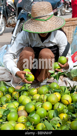 Frau kauft Limes auf einem Markt in Battambang, Kambodscha Stockfoto