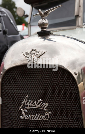Motoring Vogel Maskottchen auf Vorderseite der 1920er Jahre Austin 7 schlucken Auto erste Jaguar Oldtimer Stockfoto