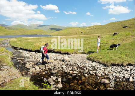 Fiel, zu Fuß in den Lake District National Park, Cumbria, England. Zwei Frauen mit Border Collie Hund. Easdeale Tarn, Grasmere. Stockfoto