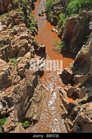 Blyde River Canyon; Bourke es Luck Potholes;  Drakensberg Böschung; Südafrika Stockfoto