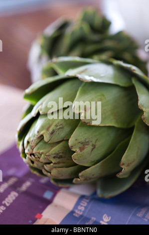 Frisches rohes Artischocke Cynara cardunculus Stockfoto