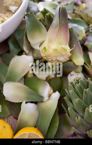 Frischen rohen Blätter von einer Artischocke Kopf Cynara cardunculus Stockfoto