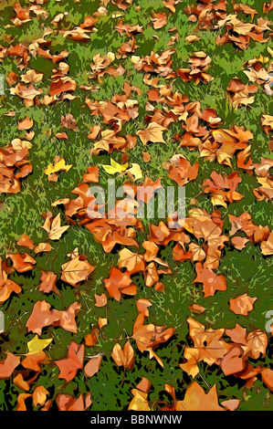 Cel-Shading-Abbildung des Herbstes Blätter auf Boden gefallenen Stockfoto