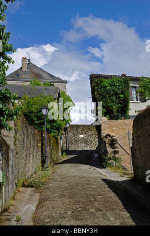 Steile schmale Straße im historischen Parthenay, Deux-Sèvres, Frankreich Stockfoto