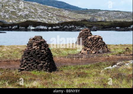 Cut Peats in Stapeln auf Moorland, Isle of Harris, Äußere Hebriden, Schottland Stockfoto