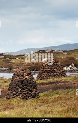 Cut Peats in Stapeln auf Moorland, Isle of Harris, Äußere Hebriden, Schottland Stockfoto