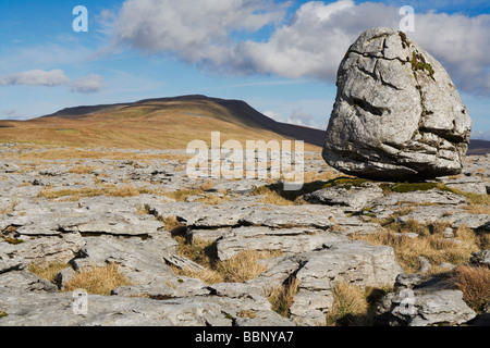 Findling vor Whernside eines Yorkshire Dales drei Gipfel Stockfoto