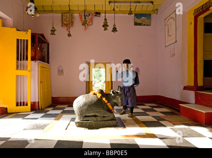 Mädchen verehren heilige Kuh. Vishwanath Tempel. Uttarkashi. Indien Stockfoto