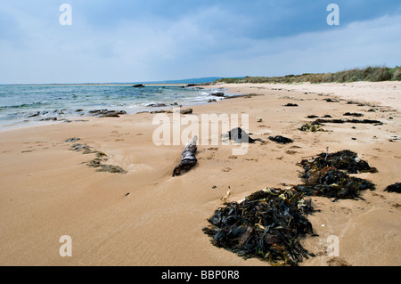 Dornoch Strand an der Ostküste, Sutherland Schottland an einem hellen, sonnigen Frühling sagen Stockfoto