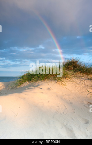 Dramatische Regenbogen im warmen Abendlicht auf Walberswick Sanddünen an der Küste von Suffolk Stockfoto