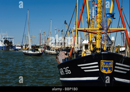 Fischtrawler in den Hafen von Den Oever Niederlande Stockfoto