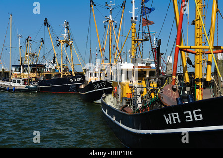 Fischtrawler in den Hafen von Den Oever Niederlande Stockfoto