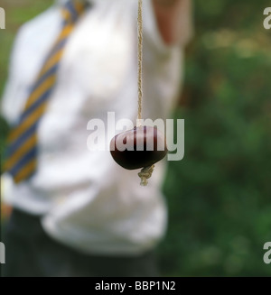 Jungen spielen conkers Stockfoto