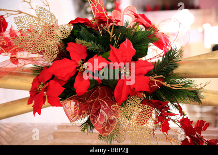 Blumendekoration der Weihnachtssterne verwendet im Dezember verlässt speziell Fot Xmas rot gold Farben Kiefer besondere Atmosphäre Urlaub Stockfoto
