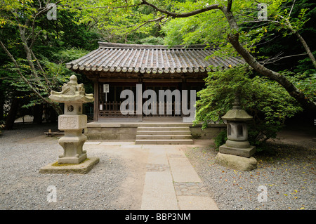 Japanische Steinlaternen und kleine Halle. Kotoku-in Tempel. Kamakura. Präfektur Kanagawa. Japan Stockfoto