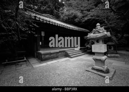 Japanische Steinlaternen und kleine Halle. Kotoku-in Tempel. Kamakura. Präfektur Kanagawa. Japan Stockfoto