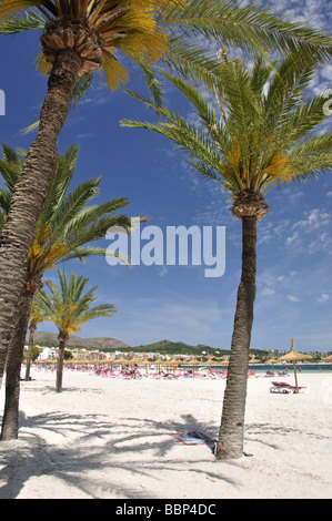 Platja d'Alcudia, Port d'Alcudia, Gemeinde Alcudia, Mallorca, Balearen, Spanien Stockfoto