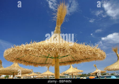 Stroh Sonnenschirme, Platja d'Alcudia, Gemeinde Alcudia, Port d'Alcudia, Mallorca, Balearen, Spanien Stockfoto