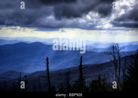 Blick von unten Clingman der Kuppel, Smoky Mountains National Park, Tennessee Stockfoto