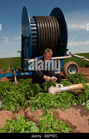 Landwirt drehen Absperrhahn auf ein Wasserrad Reisen Bewässerungssystem Kelso Scottish Borders Stockfoto