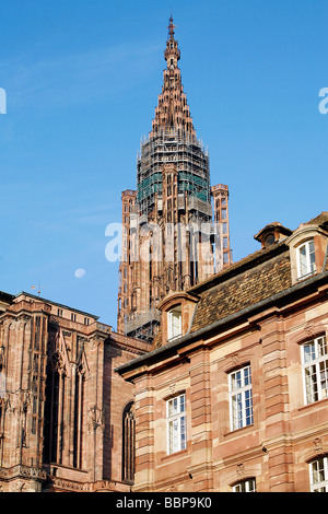 STRAßBURGER MÜNSTER, STRAßBURG, BAS-RHIN (67), ALSACE, FRANKREICH Stockfoto