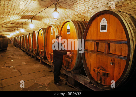 HISTORISCHER WEINKELLER DES HOSPICES DE STRASBOURG, STRAßBURG, BAS-RHIN (67), ALSACE, FRANKREICH, EUROPA Stockfoto