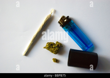 Cannabis mit einer Knospe von Skunk und leichter rollte Stockfoto