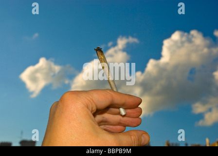 Handgerollt Cannabis Zigarette gegen den Himmel Stockfoto