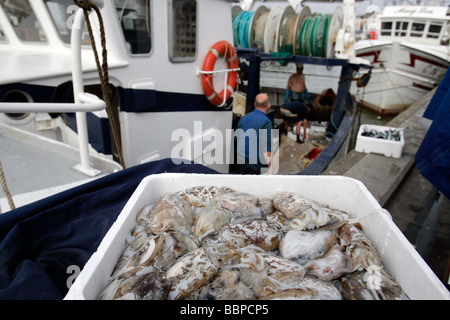 ANGELN, HAFEN, TROUVILLE-SUR-MER, CALVADOS (14), NORMANDIE, FRANKREICH Stockfoto
