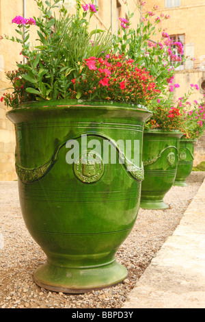 Flower Pot ehemaliger Erzbischof Blumengarten Saint Nazaire Kathedrale Beziers Herault Languedoc-Roussillon Frankreich Stockfoto