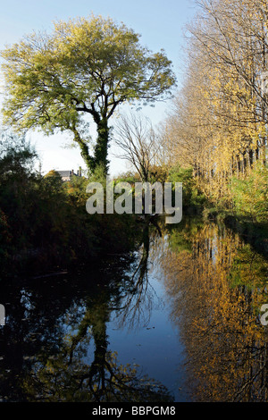 AM UFER DES CANAL DU BERRY, SAINT-AMAND-MONTROND, CHER (18), FRANKREICH Stockfoto