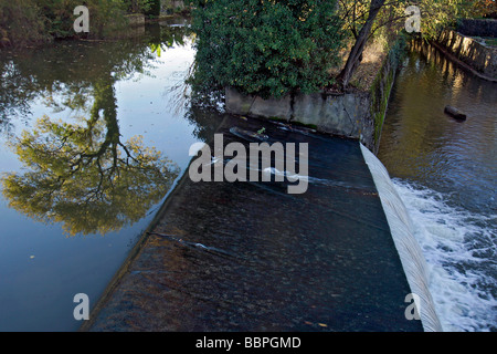 AM UFER DES CANAL DU BERRY, SAINT-AMAND-MONTROND, CHER (18), FRANKREICH Stockfoto