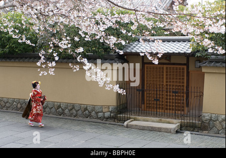 Ein Maiko Lehrling Geisha, ein Spaziergang entlang der Nenenomichi in der Higashiyama-Bezirk von Kyoto an einem Frühlings-Nachmittag Stockfoto